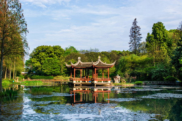 水生生態區 (2).jpg