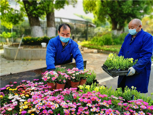 園區工人：為籌備開園做好草花布置.jpg